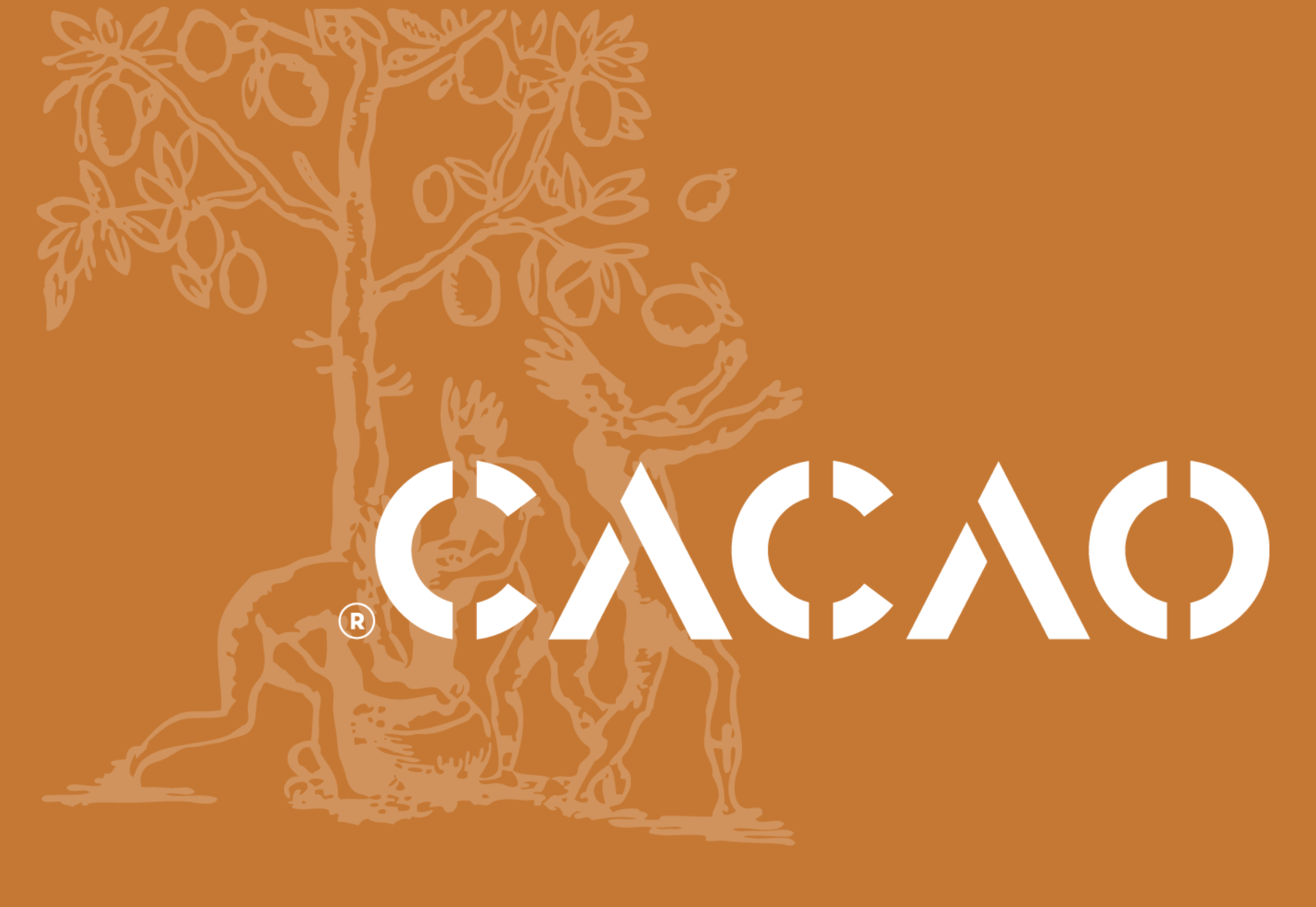 Cacao